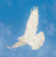 Software Engineering
